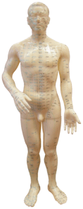 american-acupuncture-points